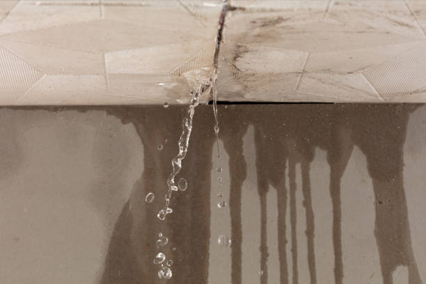 Professional Structural Drying technician working in Browns Summit, NC